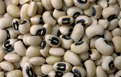 How To Grow Black Eyed Peas