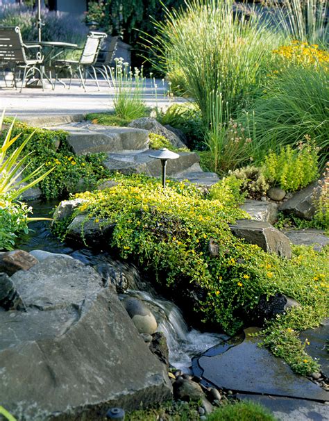 Cover with soil on alibaba.com to find many different suppliers. The Best Flowers for Wet, Soggy Soil | Better Homes & Gardens