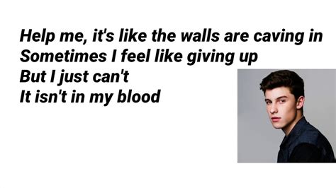 In my blood really shows how shawn mendes has grown over the years and gives us a glimpse of some of his personal struggles. Shawn Mendes - In My Blood LYRICS |Cool Lyrics - YouTube