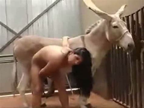 Burro And The Bride Porn Video Sex Pictures Pass