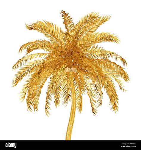 Golden Tropical Palm Tree On A White Background 3d Rendering Stock