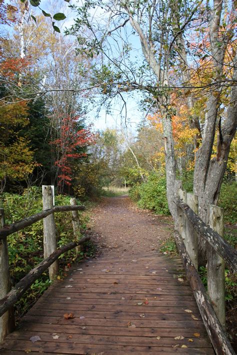 Montgomery while she was writing the books. Lover's Lane behind Green Gables, Prince Edwards Island. | Green gables, Anne of green gables ...