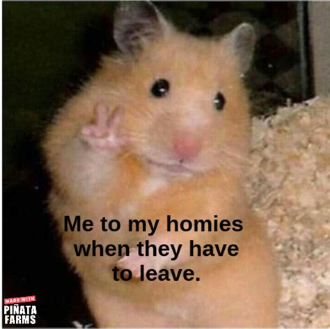 Peace Sign Hamster Memes Pi Ata Farms The Best Meme Generator And