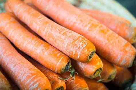 How Long Do Carrots Last Grow Gardener Blog