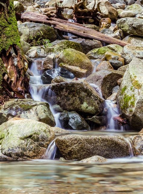 Cascades On Small Creek In The Forest Stock Image Image Of Background