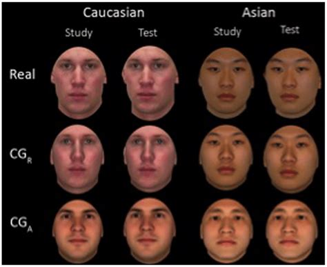 Asian Faces Differences Telegraph