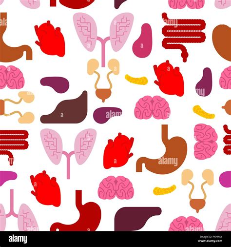 human internal organs pattern seamless anatomy background systems of man body and organs