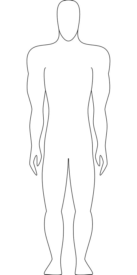 Masculina Figura Humana · Gráficos Vectoriales Gratis En Pixabay