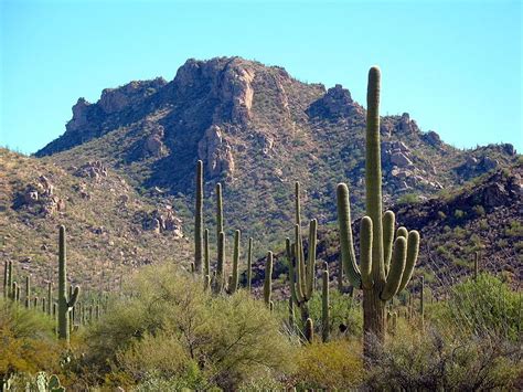 Saguaro Arizona Split Into The Separate Rincon Mountain And Tucson