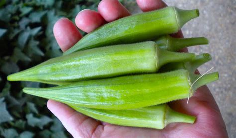 You surely do make it easy for such a sophisticated treat. Health Benefits Of Okra (Lady's Fingers), Nutritional ...