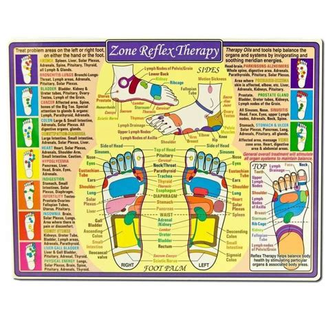 zone reflex therapy chart plexus products therapy meridian energy
