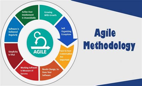 It is an umbrella term that describes several agile methodologies. Why Agile Methodology is Needed for Mobile App Development?