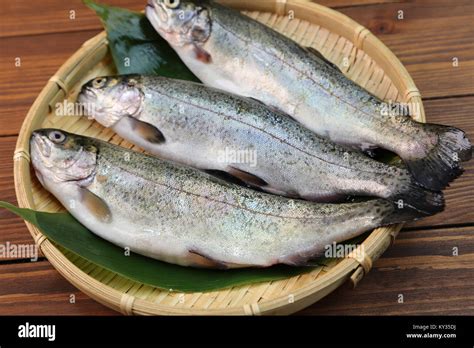 Japanese Trout Hi Res Stock Photography And Images Alamy