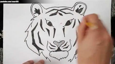 Como Dibujar Un Tigre Paso A Paso Youtube