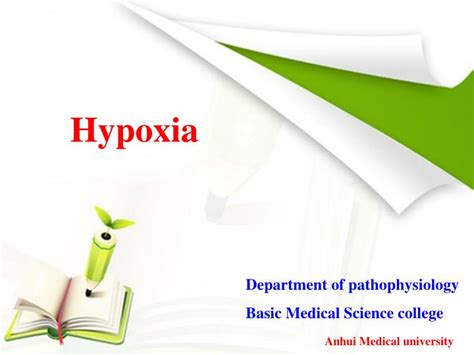 Ppt Hypoxia Powerpoint Presentation Free Download Id 6053219