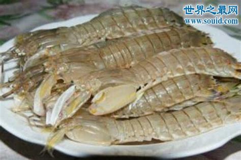 Изучаем китайский язык с нуля! 绿虾蛄可以吃吗，被污染最好不要吃(有毒) —【世界奇闻网】