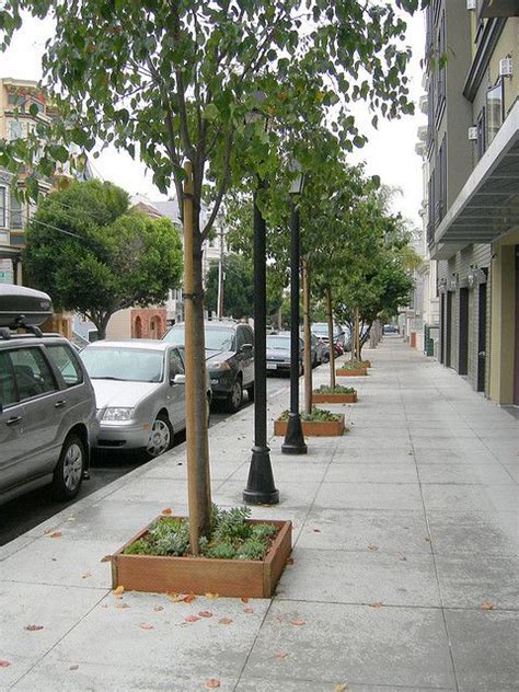 San Francisco Street Plantings Street Trees City Tree Commercial