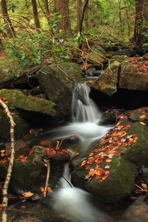 Free Images Waterfall Creek Wilderness Hiking Leaf River Moss