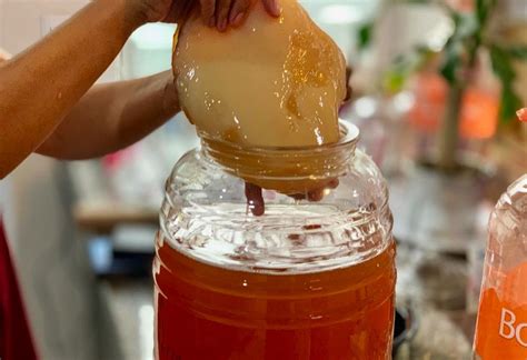 Conoce qué es la Kombucha y sus beneficios para tu salud