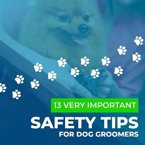 We specialize in places to wash your dog yourself, with professional results! 13 Very Important Safety Tips for Dog Groomers | Advantage Insurance Solutions