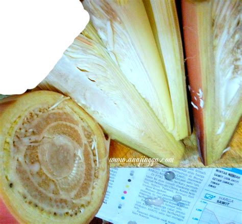 Mulai dari berwarna hijau sampai merah daunnya. Resepi Jantung Pisang Masak Lemak Cili Padi - My Name is ...