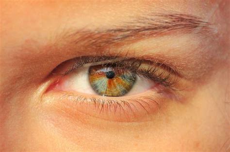 35 Unbelievably Beautiful Eye Colors Onedio Co