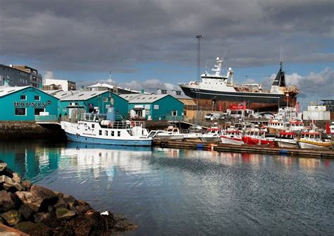 Disco Plainte Éradiquer Reykjavik Old Port Blanc Ambition Appliqué