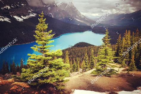 Peyto Lake Icefields Parkway Banff National Editorial Stock Photo