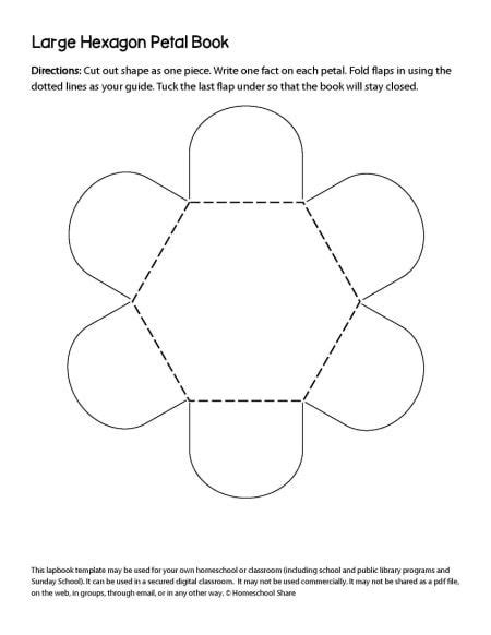 The Large Hexagon Petal Book Is Shown In This Printable Paper Pattern