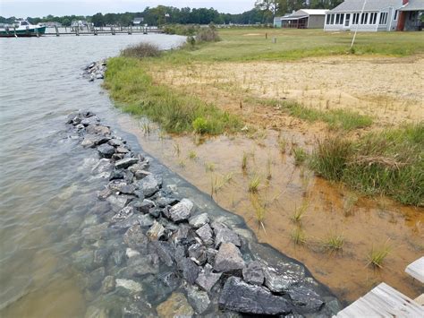 Living Shorelines Virginia Association Of Soil And Water Conservation