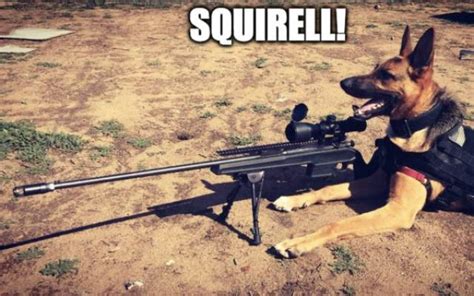 These Sniper Memes Hit The Bullseye 56 Pics