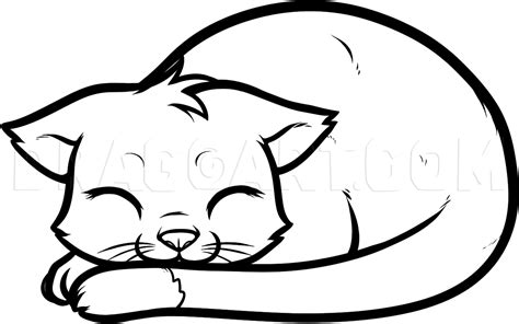 How To Draw A Sleeping Cat Sleeping Cat Step By Step Drawing Guide