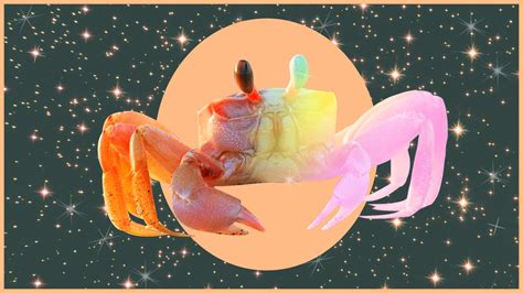 Cancer Horoscope July 2020 — Love And Career Predictions Allure