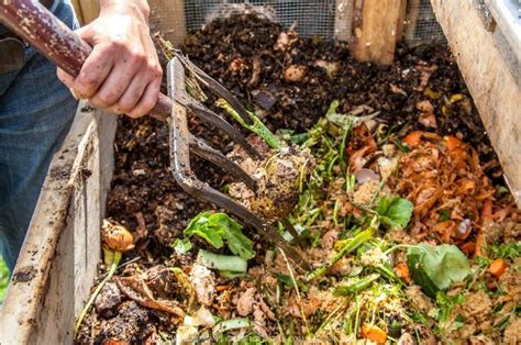 Conoce Cómo Hacer Compost Casero Agropress