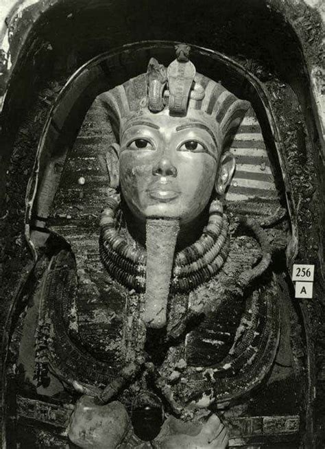 Pin Di Franco Zanoli Su Fz Egitto Antico Egitto Egitto Tutankhamon My Xxx Hot Girl