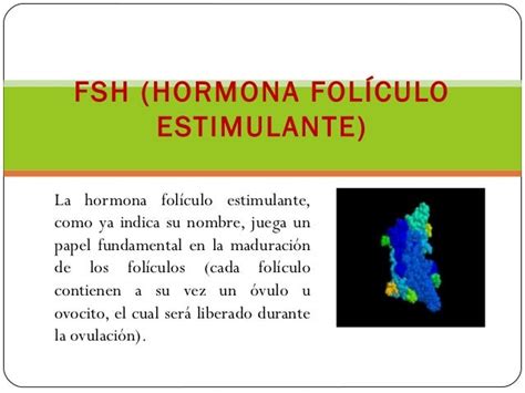 hormona foliculoestimulante