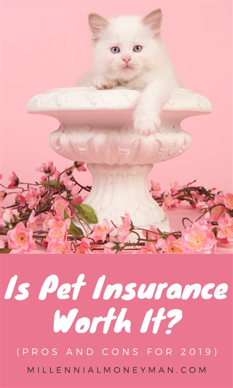 Reimbursement is based on a schedule. Is Pet Insurance Worth It? (Pros and Cons for 2020) | Pets, Pet insurance, Pet health