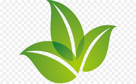 Pada postingan kali ini admin akan berbagi perihal gambar daun untuk logo yang kami posting dengan judul 100 gambar daun untuk logo hd gra. Daun, Logo, Hijau gambar png