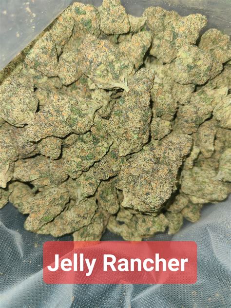 Jolly Rancher Strain Allbud