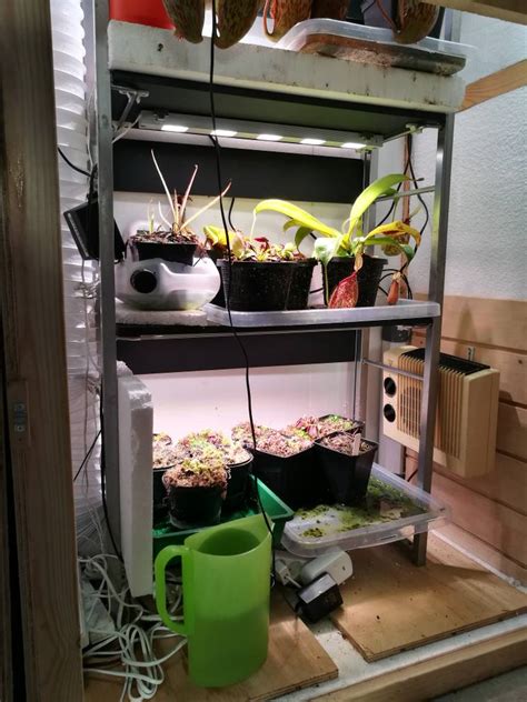 We did not find results for: Ikea Led Grow Lights - VÄXER - Terraria - Cultivation ...
