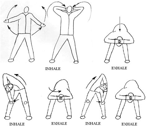 Uml is a way of visualizing a software program using a collection of diagrams. Exercises for Back Pain with Diagrams