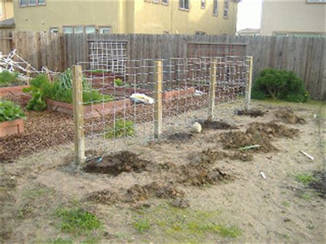 The arbor is built using 4×4's and 2×4's. Sacramento Vegetable Gardening: The Wrong Way to Build a ...