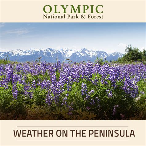 Get the monthly weather forecast for olympic national park, wa, including daily high/low, historical averages, to help you plan ahead. Weather | Olympic National Park & Forest |Olympic Peninsula WA