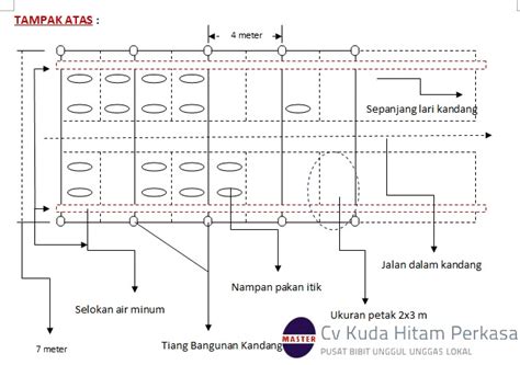 Tahukah dulur, bahwa kandang memegang peranan penting dalam usaha budidaya itik pedaging? Sketsa Design Kandang Itik Petelur & Pedaging | Cv Kuda ...