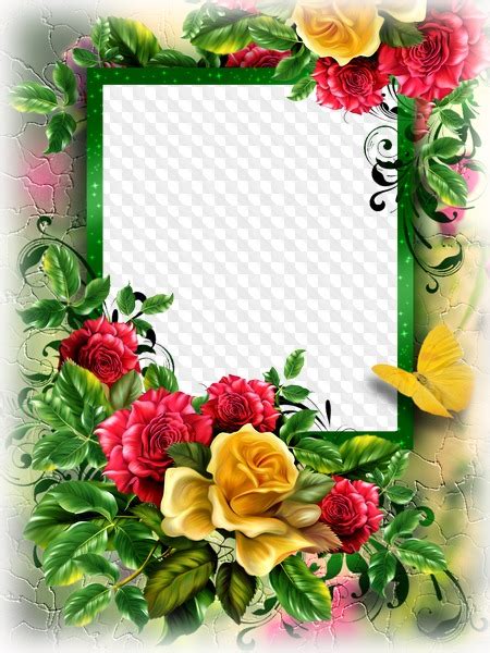 Flower Frame Download Free Photoshop Frame