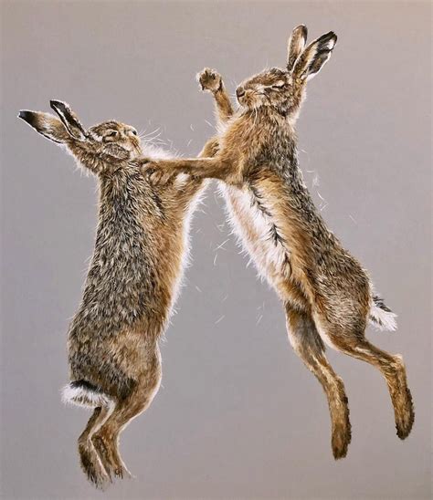 Boxing Hares 24 X 20 In Acrylics Thanks To Cate Barrow For The