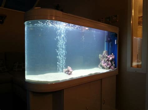 Pin By All Pond Solutions On Customers Fish Tanks Pinterest Fish