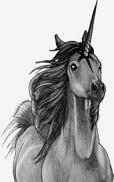 We did not find results for: Realistic Celestial Unicorn by sevas-tra on DeviantArt
