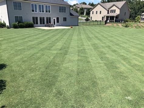 Step By Step Guide For Getting A Golf Course Lawn Ron Henry