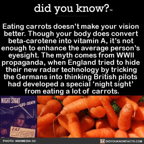 Eating Carrots Doesnt Make Your Vision Better Did You Know
